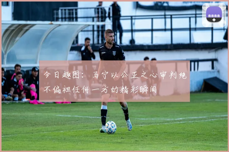 今日趣图：马宁以公正之心审判绝不偏袒任何一方的精彩瞬间